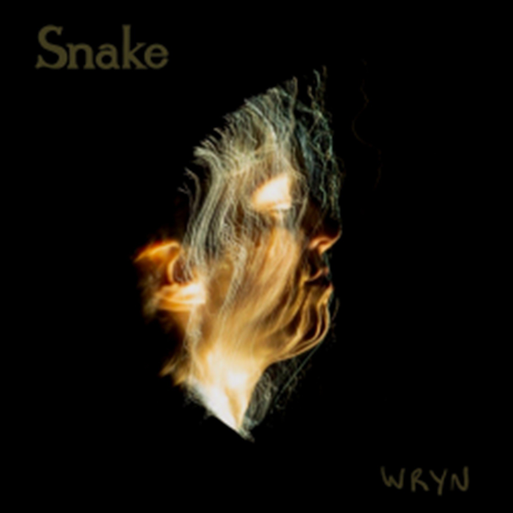 AVANT/FOLK ARTIST WRYN RELEASES “SNAKE” TODAY SECOND SINGLE FROM RIGHTEOUS BABE RECORDS