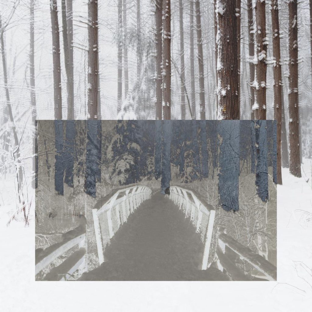 Alt-folk singer-songwriter Ginger Winn wrestles with grief on touching track "Not You" out now ahead of 2nd LP