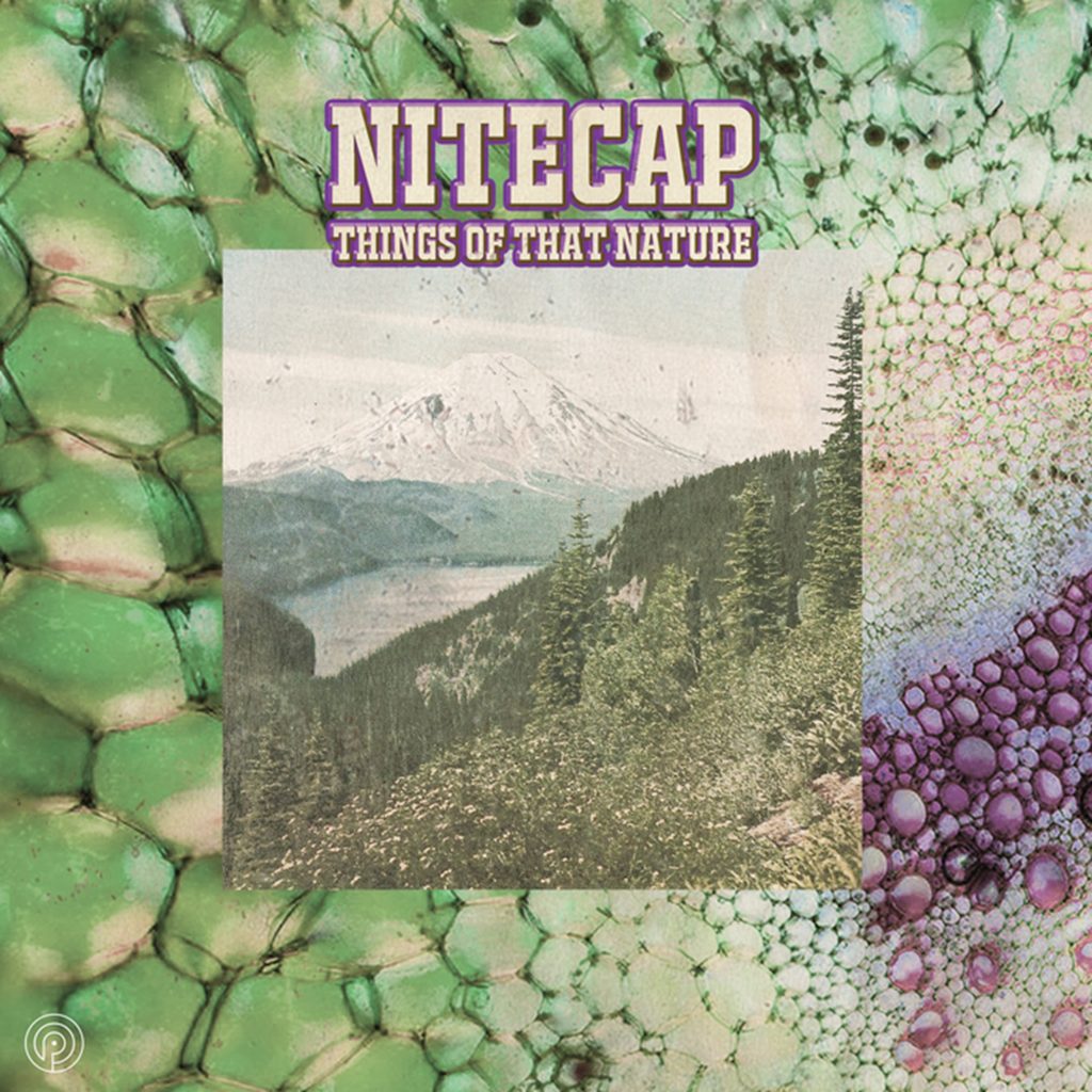 Jazz-Funk Supergroup Nitecap Releases Debut Album Things of That Nature