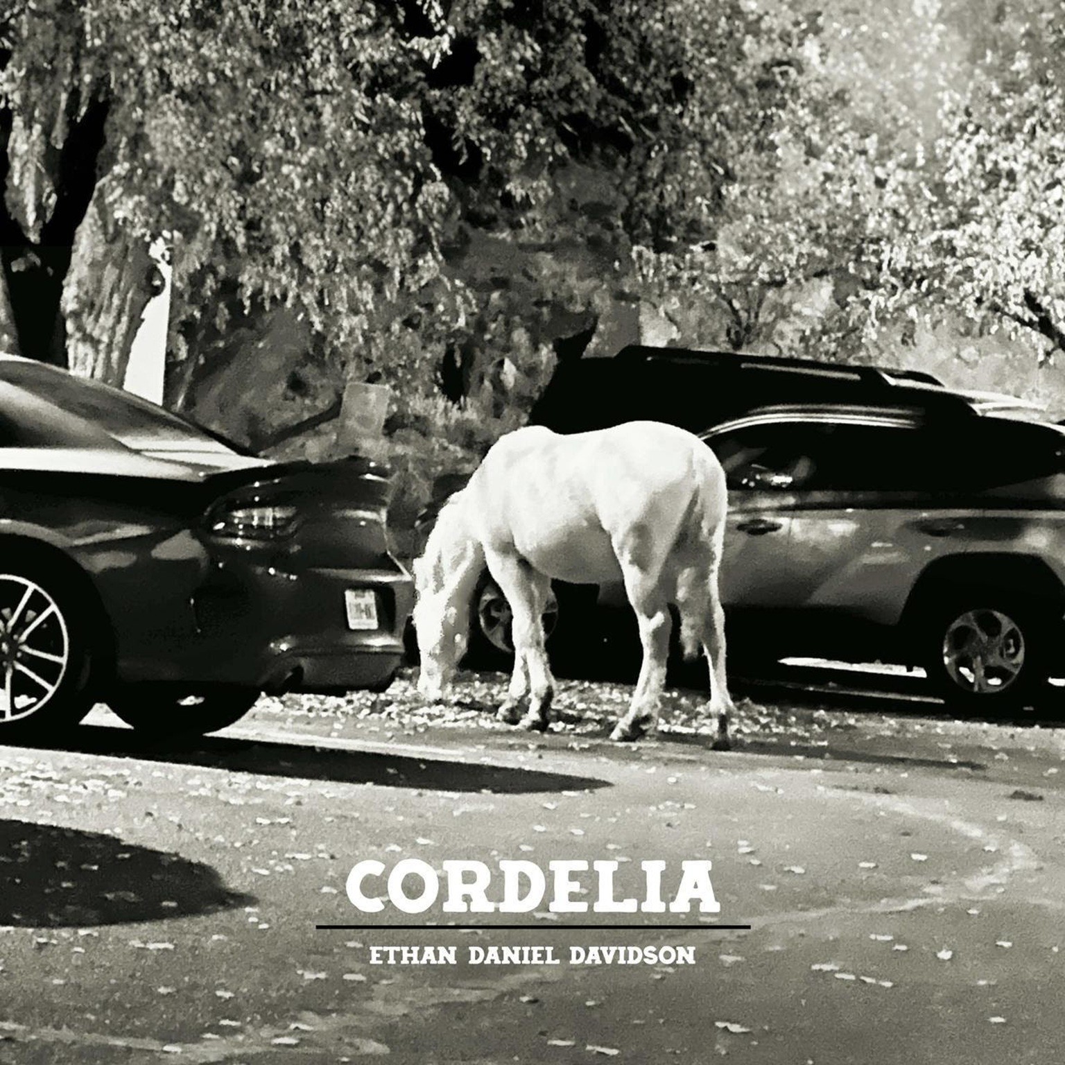 Ethan Daniel Davidson Releases New Single “Your Old Key” From New Album 'Cordelia'