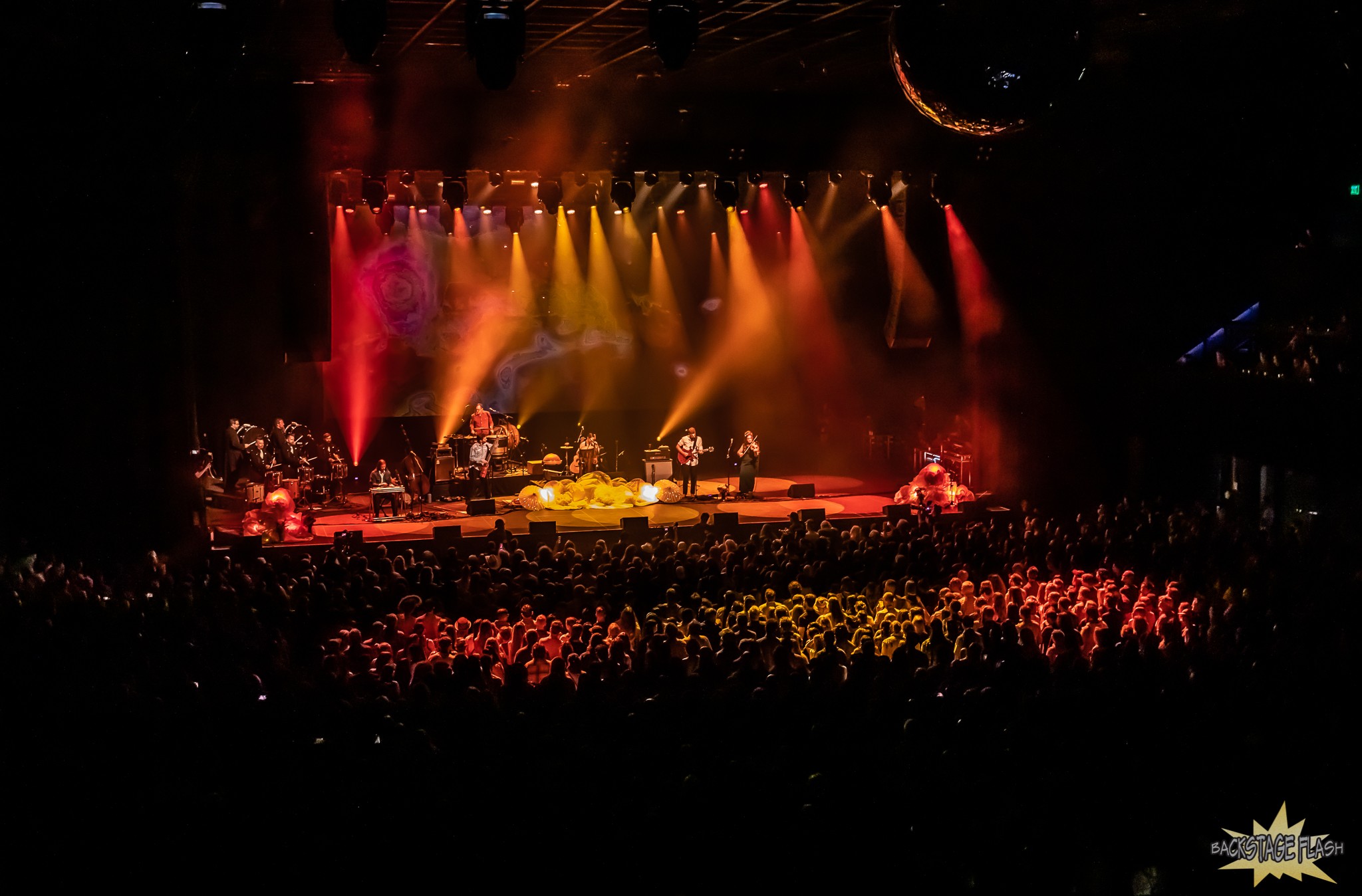 Elephant Revival with Father Time Drumline