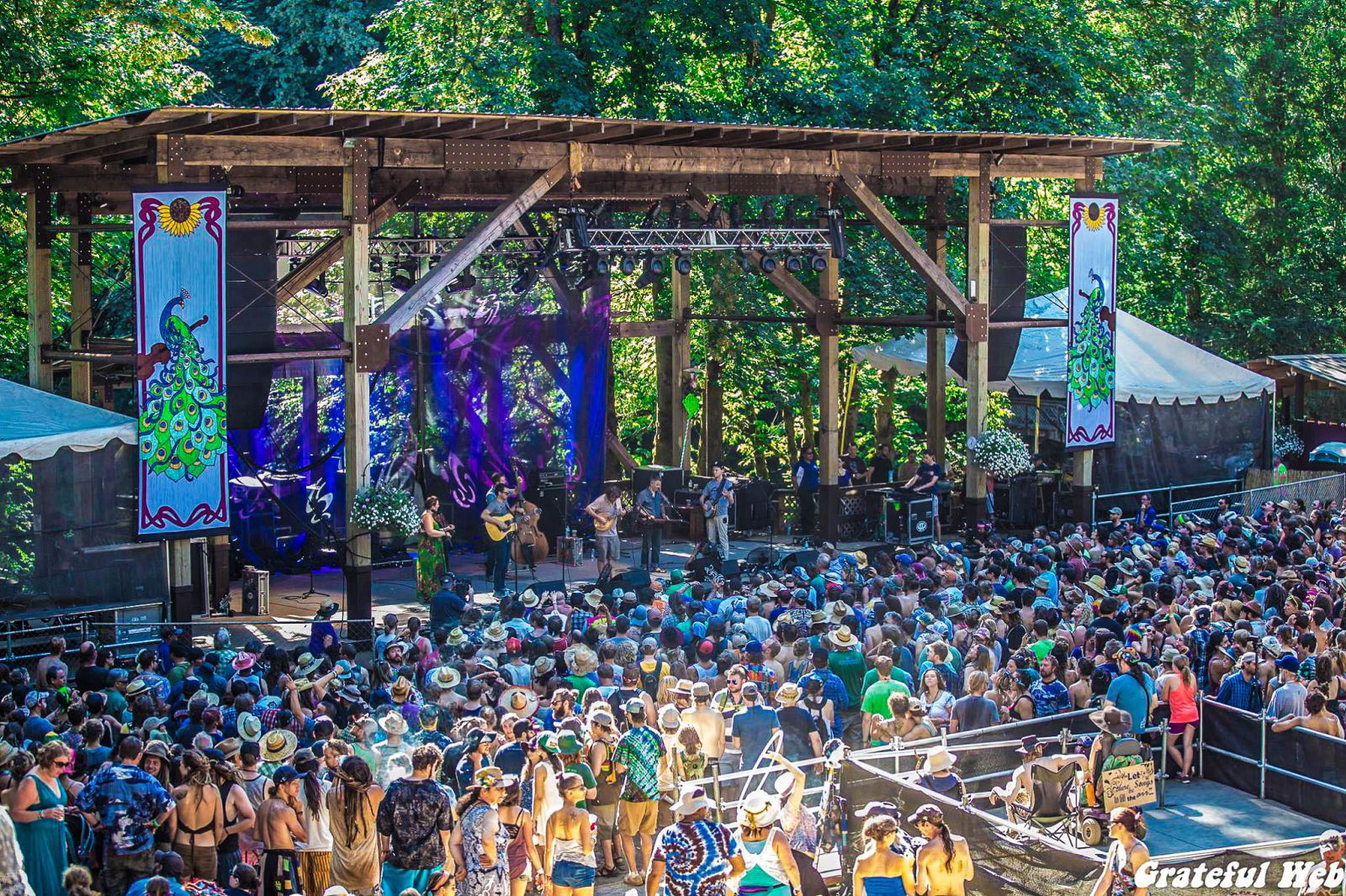 Keller Williams' Grateful Grass