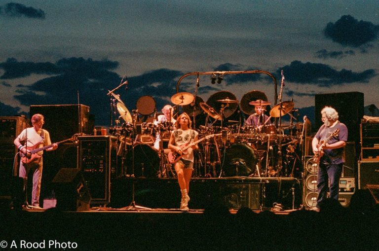 Deadheads Then and Now—Why the Music Never Stopped