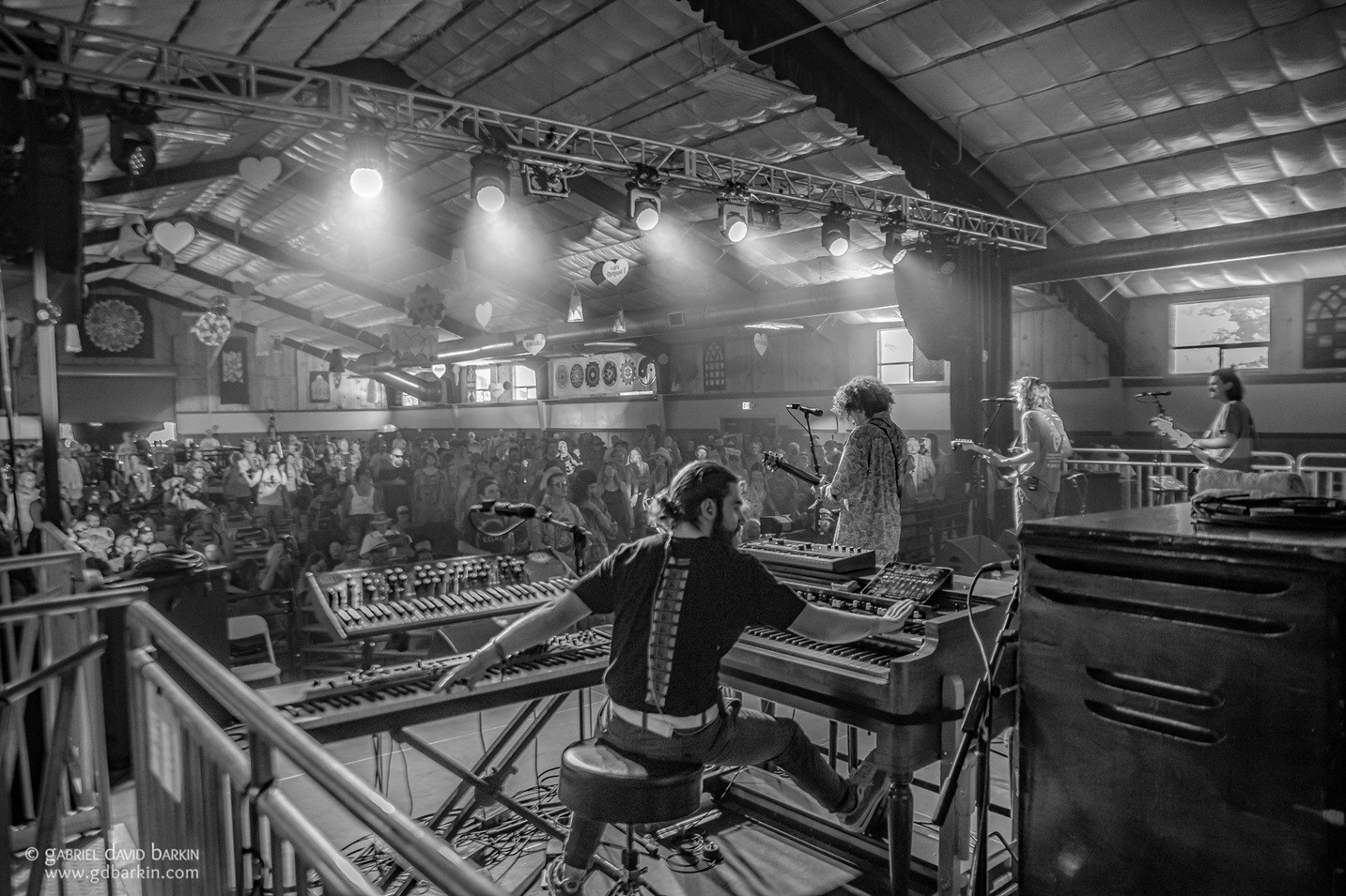 Dogs In A Pile - HSMF