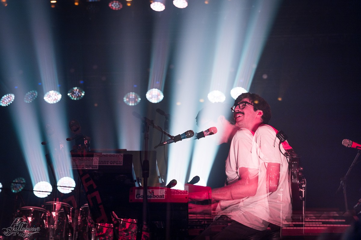 Peter Anspach | Goose