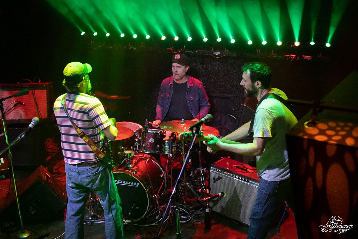 Tea Leaf Green | The 8x10