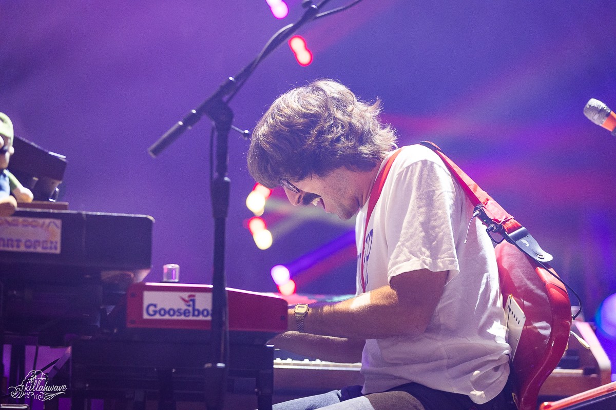 Multi-Instrumentalist Peter Anspach | Goose