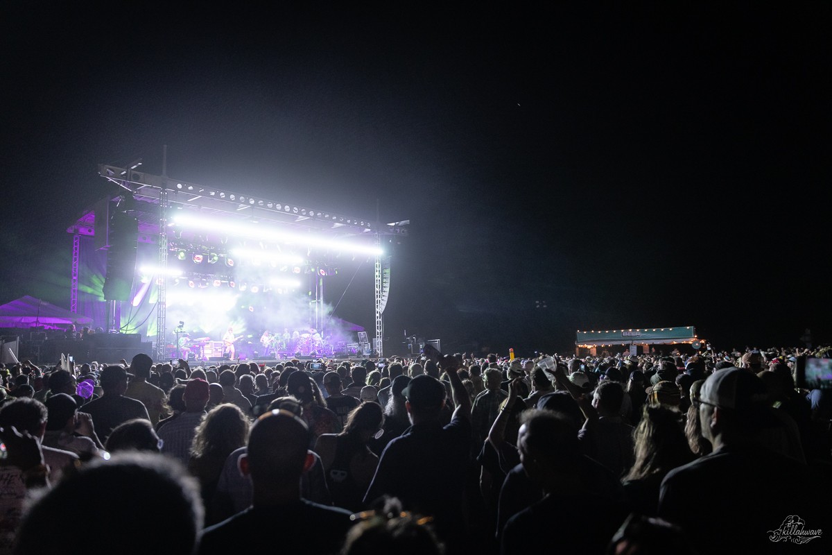 Goose | St. Pete Pier
