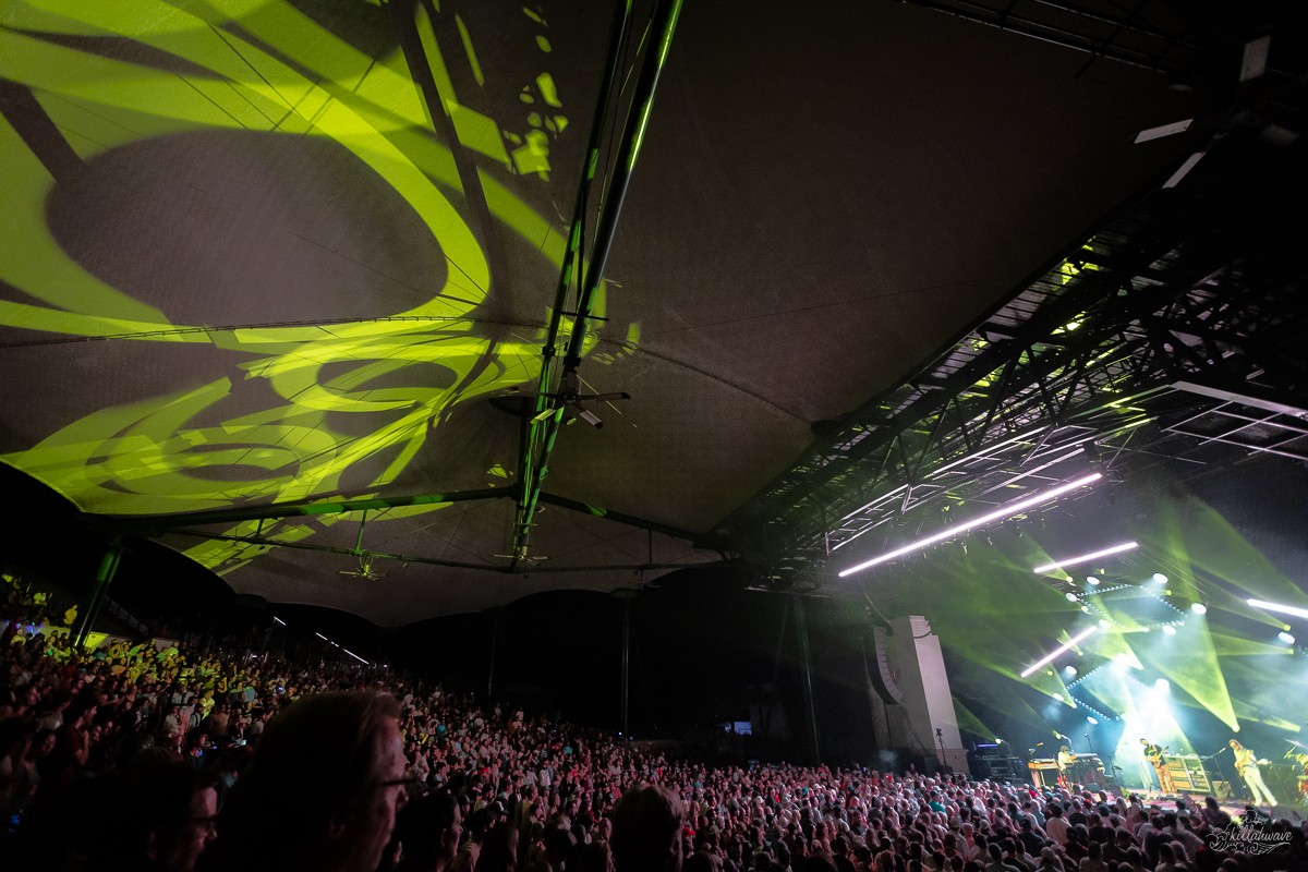 The ceiling had many overhead delights | Goose