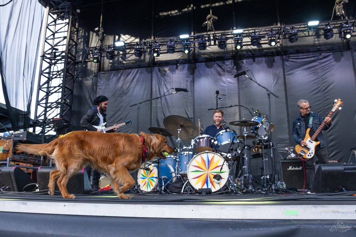 Teddy joined the band during "Tangled Up in Blue" | Joe Russo's Almost Dead