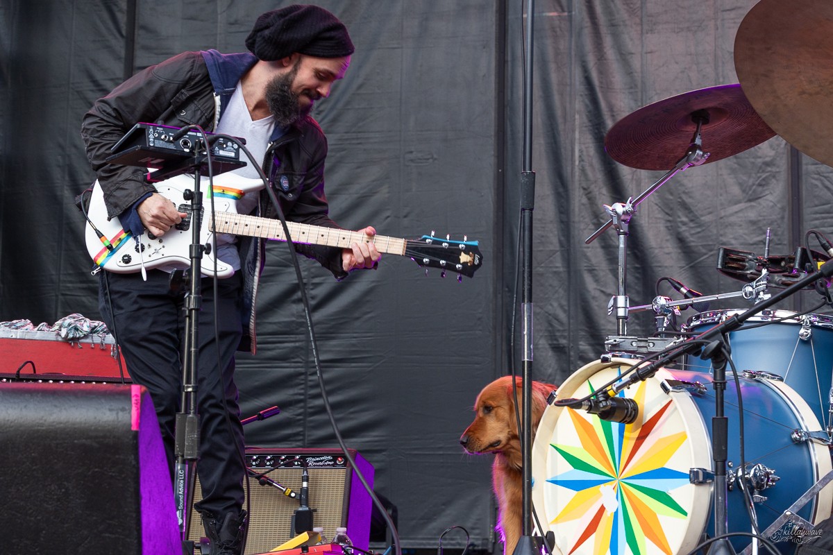 Tom Hamilton and Teddy | Joe Russo's Almost Dead