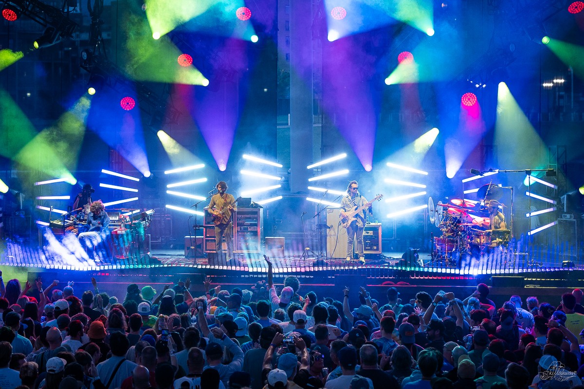 Goose | Jacobs Pavilion