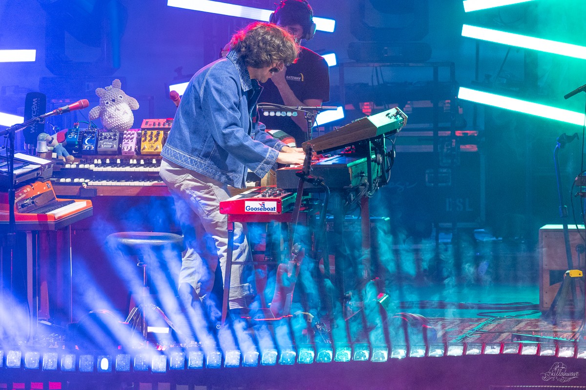 Multi-instrumentalist Peter Anspach | Goose