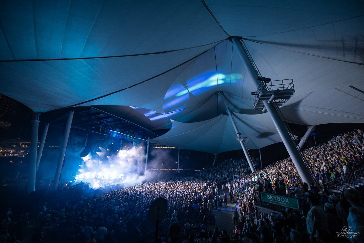 Goose | Jacob's Pavilion