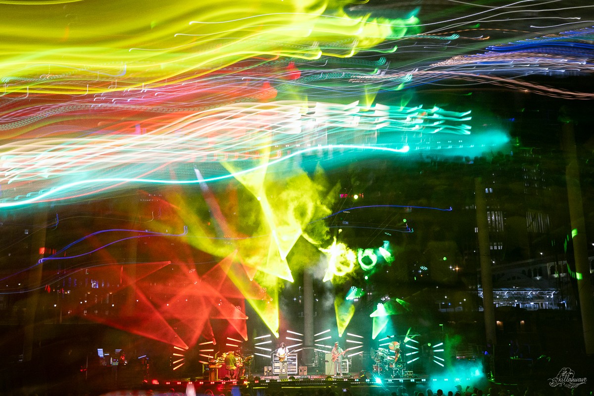 Goose | Jacobs Pavilion 