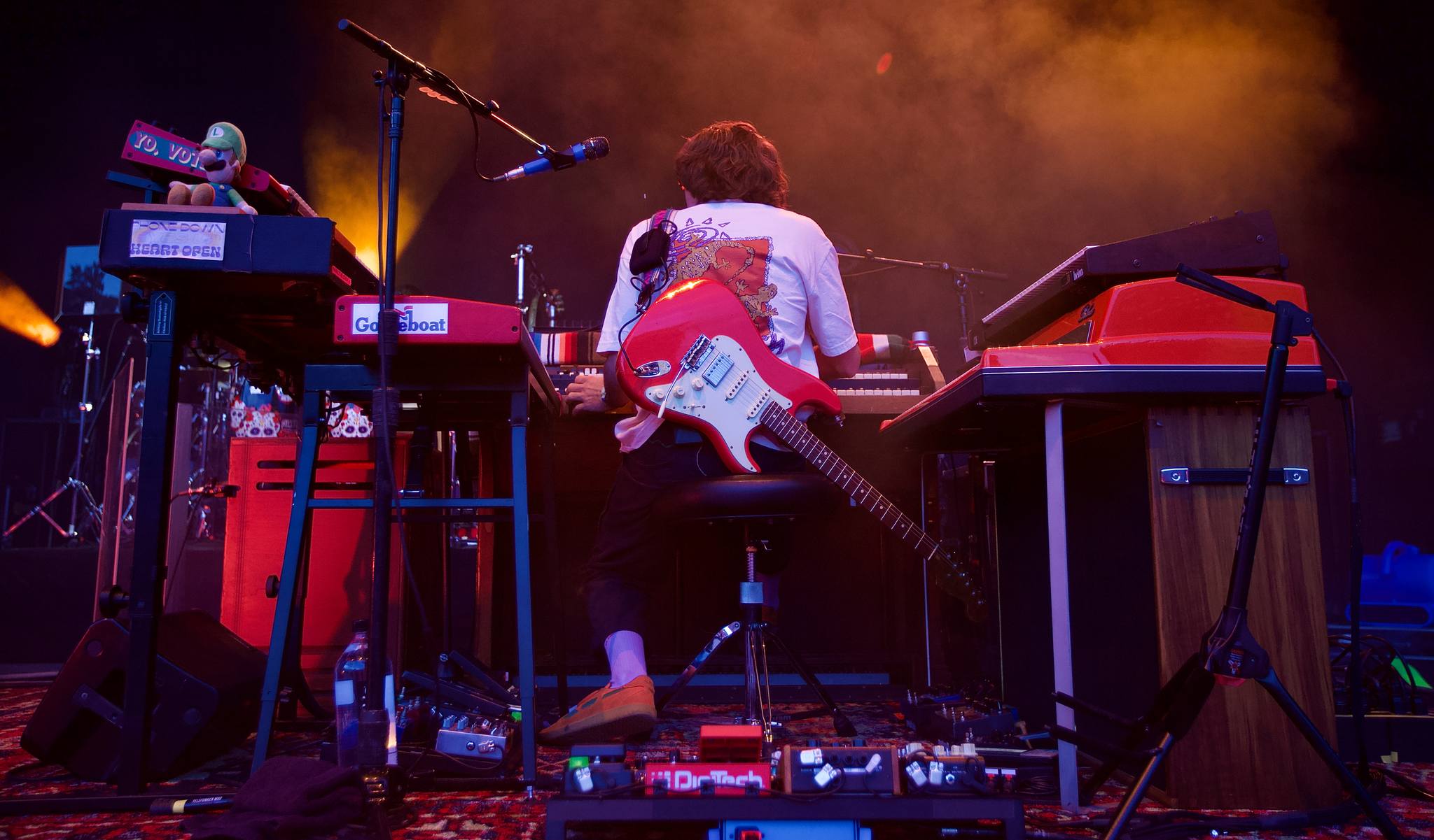 multi-instrumentalist Peter Anspach | Goose