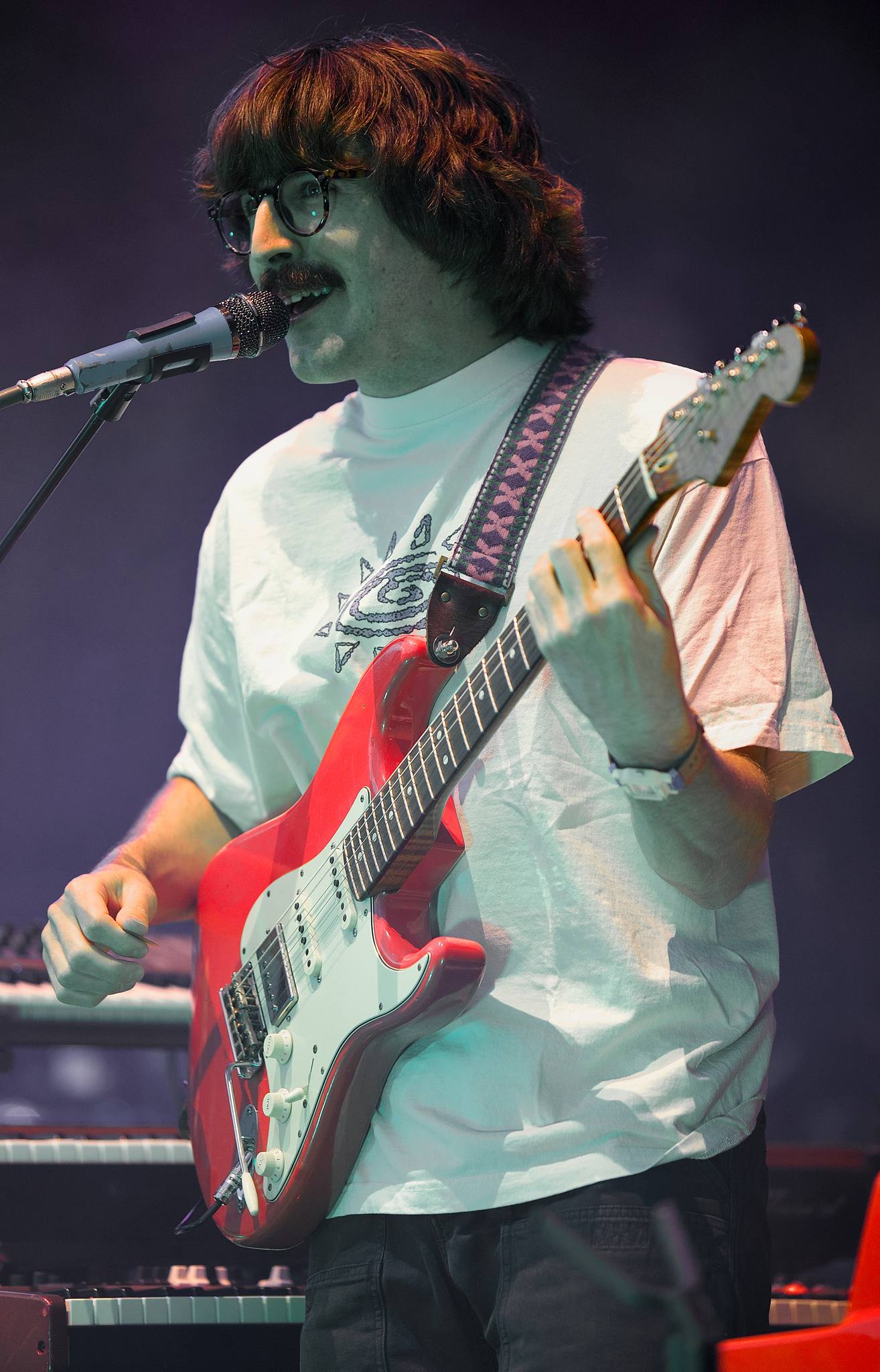 Peter Anspach | Goose