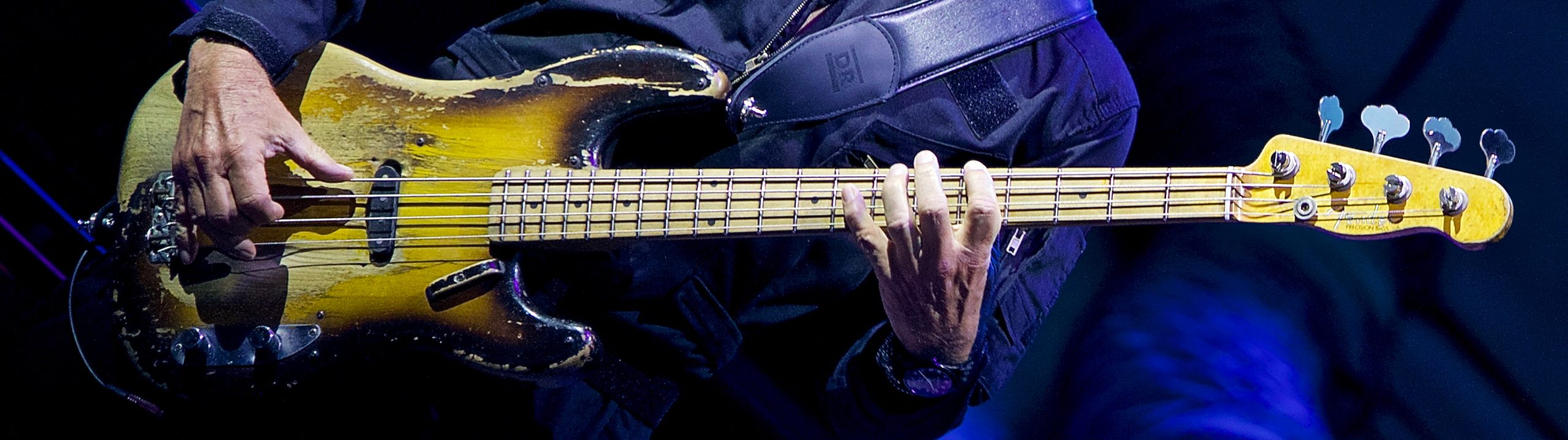 Sting | Morrison, CO