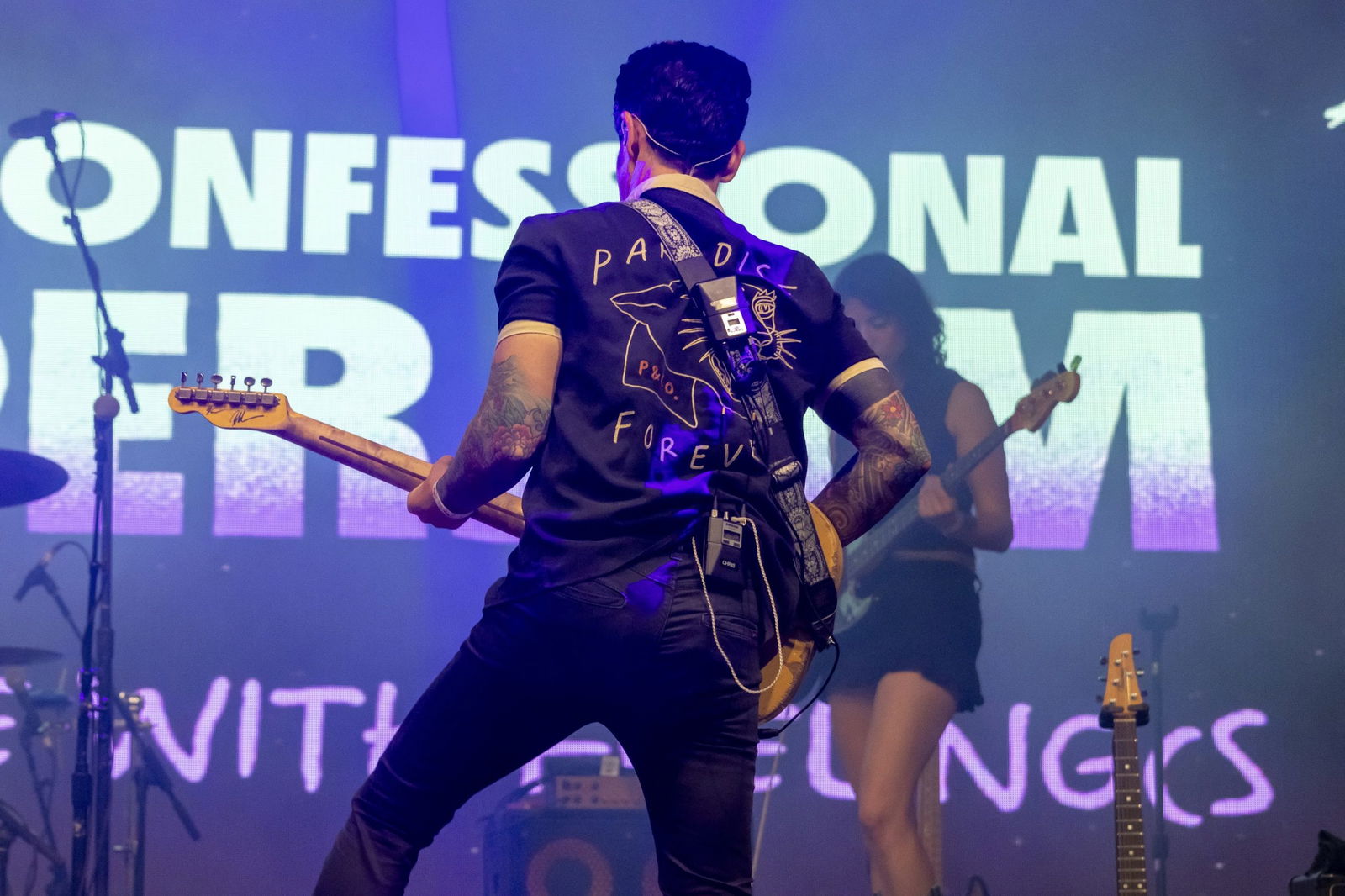 Chris Carrabba | Bonnaroo