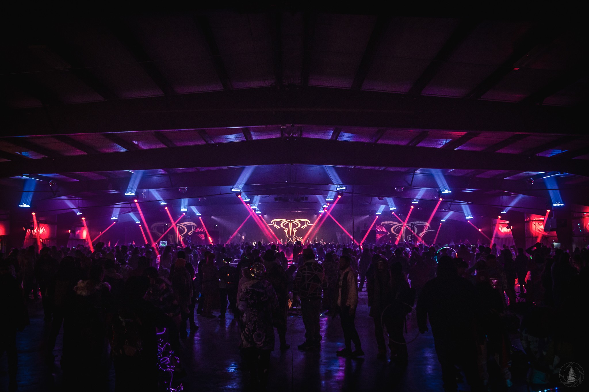 Dirtwire | Gem and Jam Festival - photo credit: Silky Shots