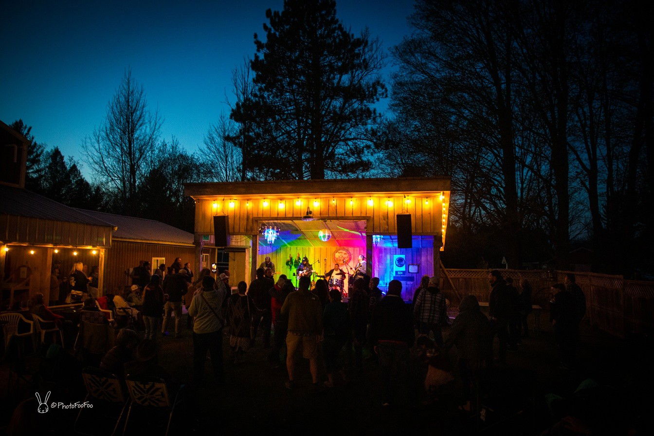 Dave Bruzza and friends