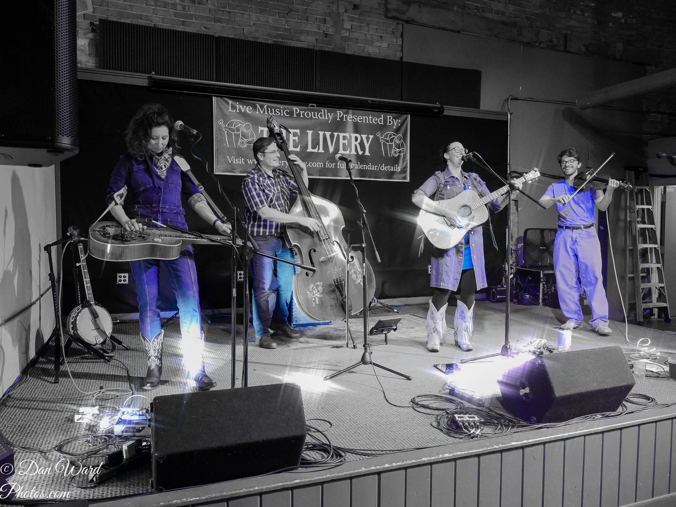 Fox Crossing Stringband | Benton Harbor, MI