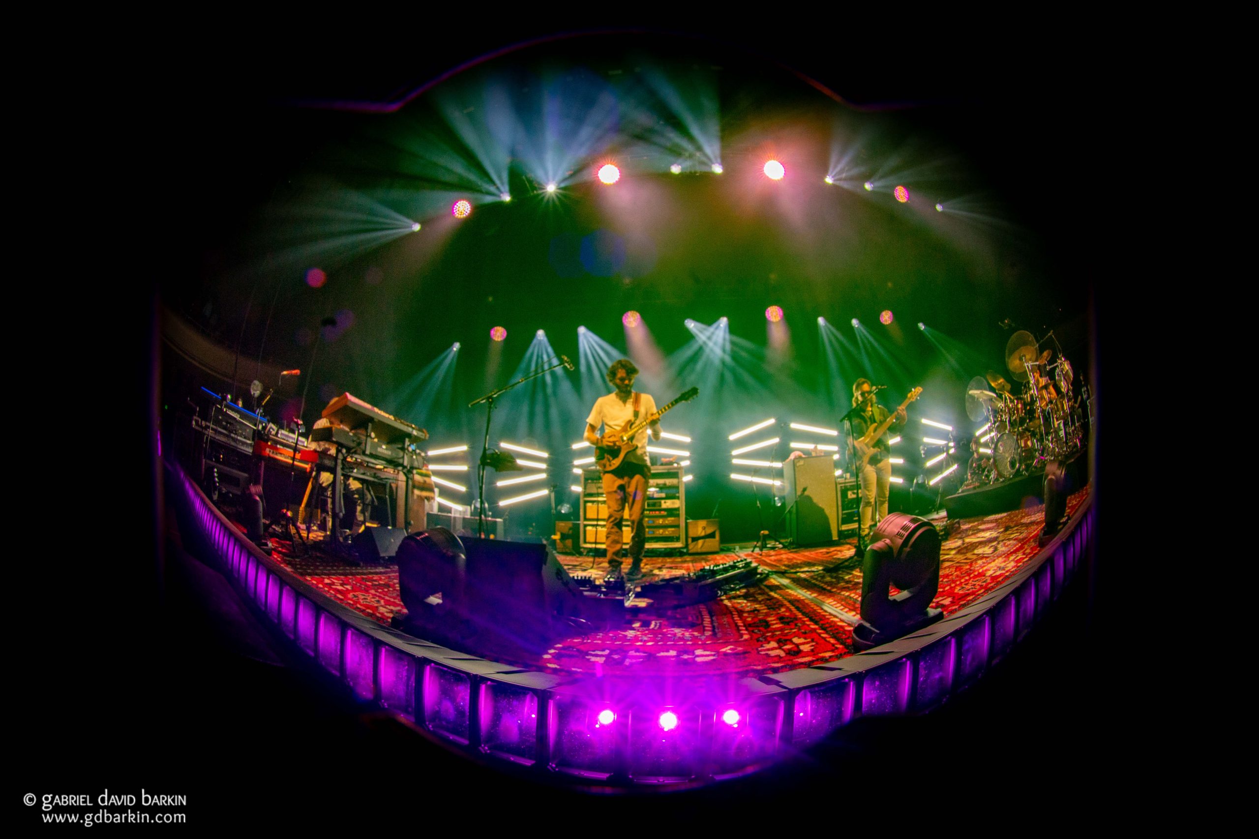 Goose | San Francisco, CA