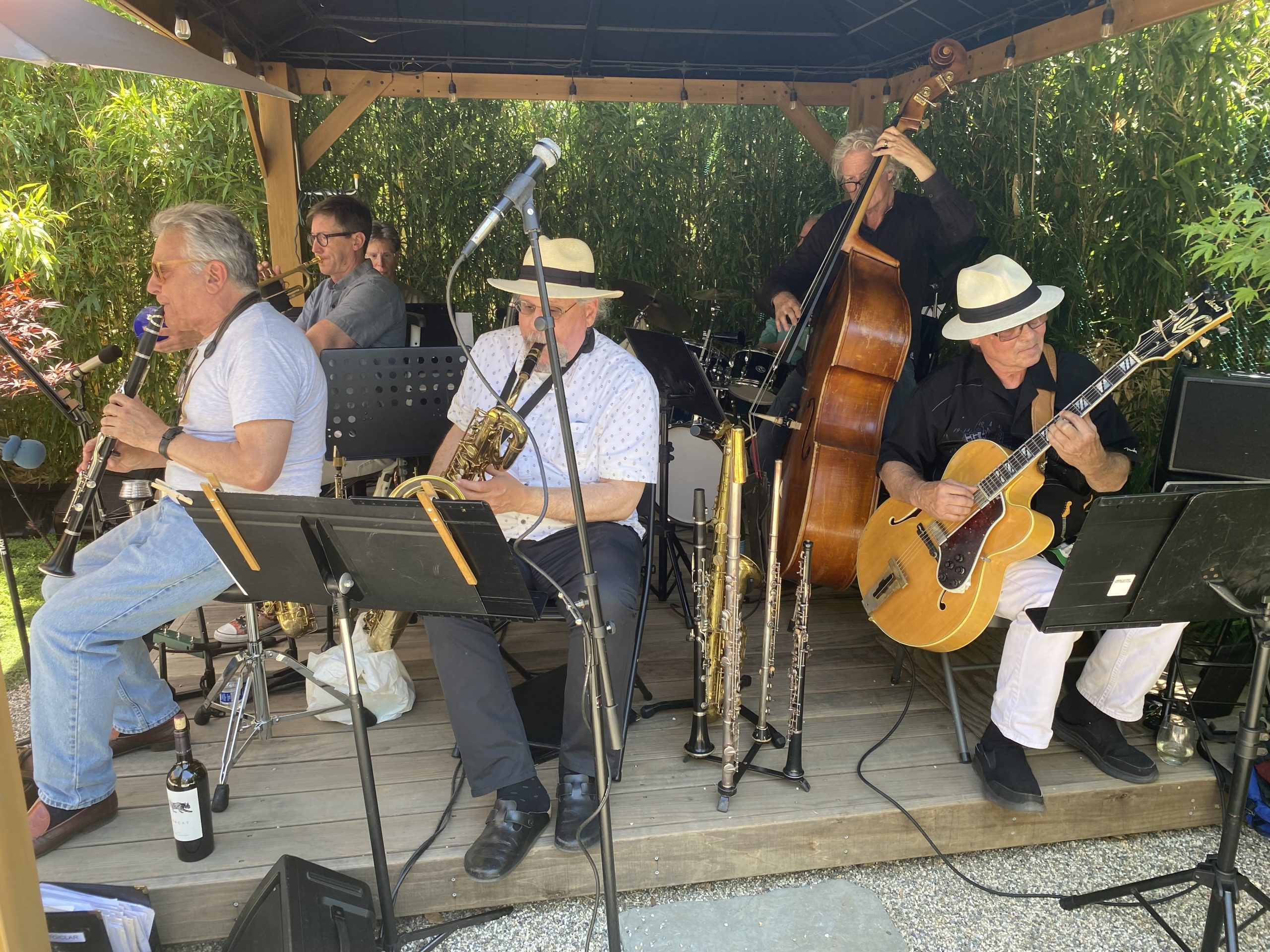 Jeff Sanford&rsquo;s Cartoon Jazz Orchestra