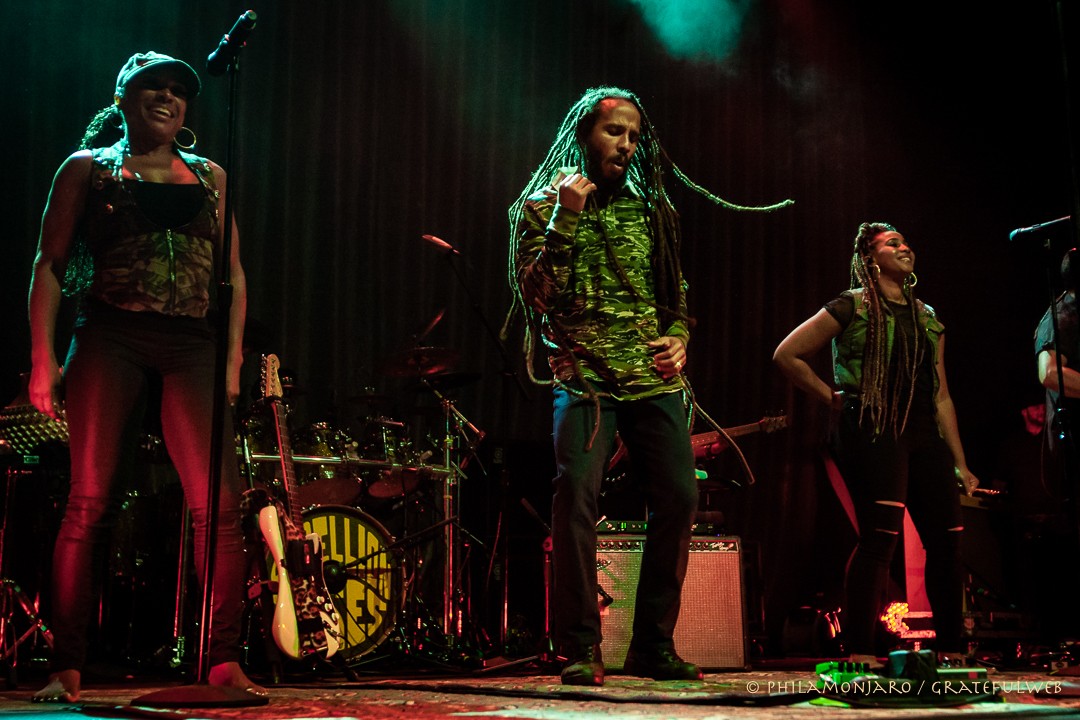 Ziggy Marley