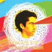 Delicate Steve