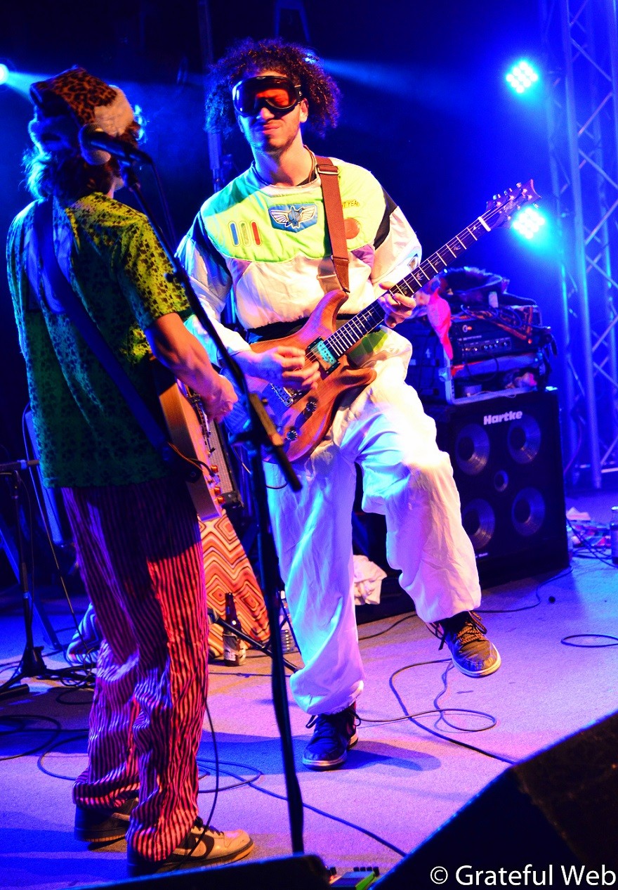 Pigeons Playing Ping Pong