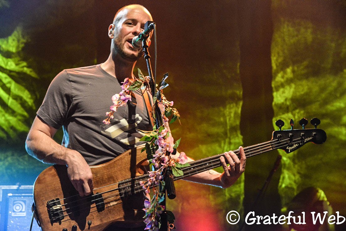 Ben Kaufmann | Yonder Mountain String Band