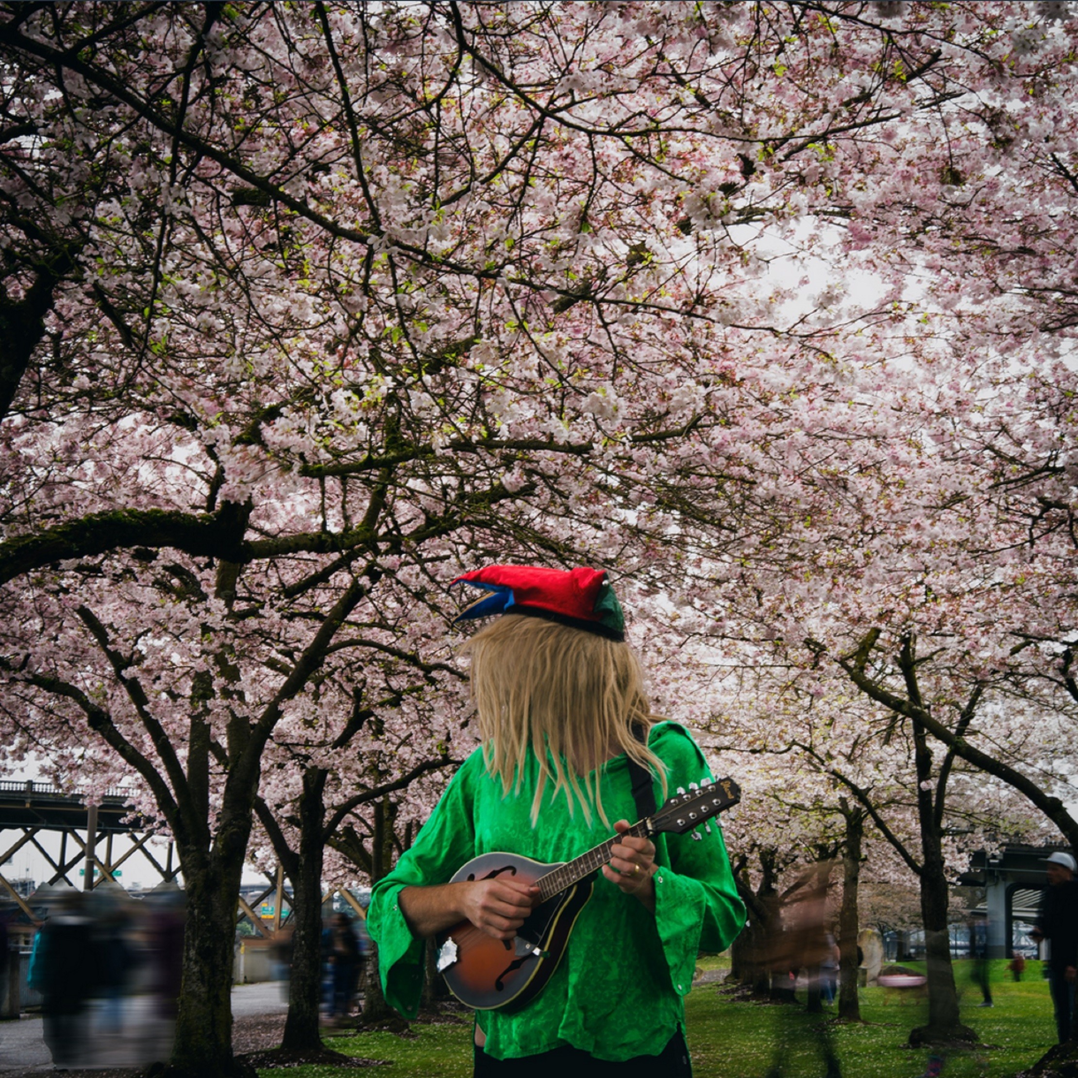 Tale of the Fool is Lost Ox&rsquo;s fourth studio album