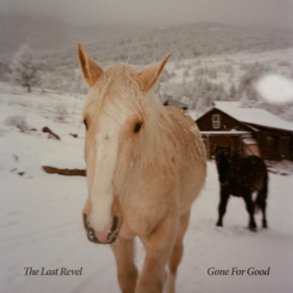 The Last Revel’s New Single “Go On” Got Its Initial Inspiration From An Unlikely Source: A Battle-Broken, Backcountry Mule Deer