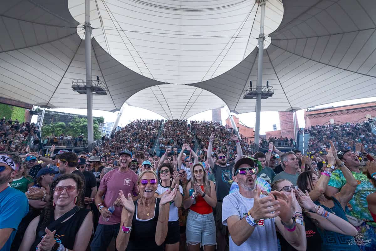 Goose | Jacobs Pavilion
