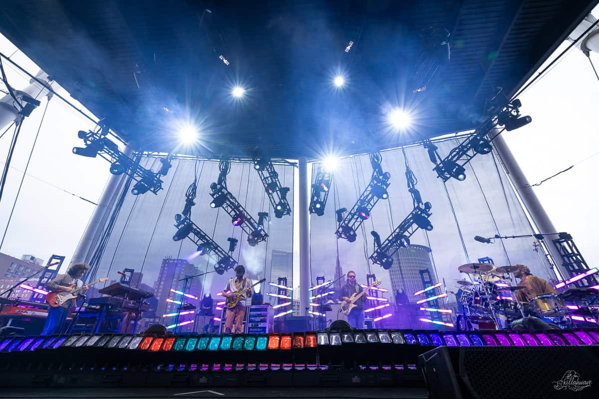 Goose | Jacobs Pavilion