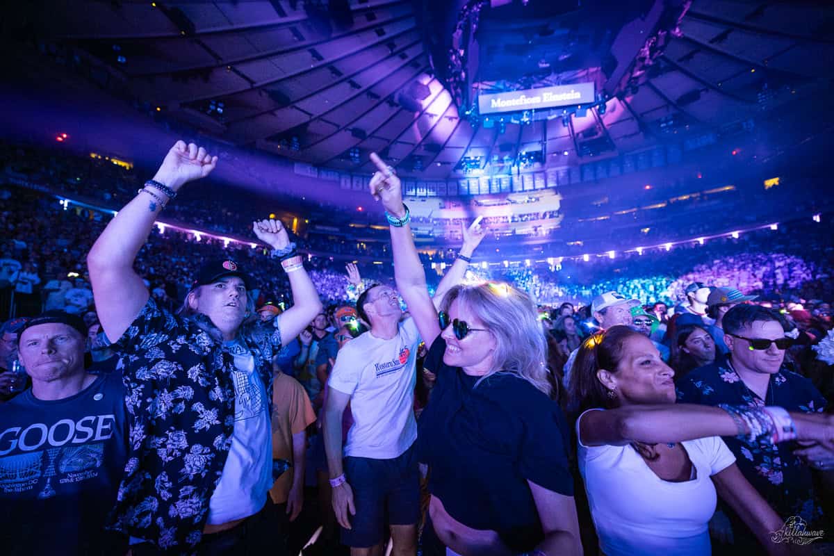 Fans loved the show | Goose