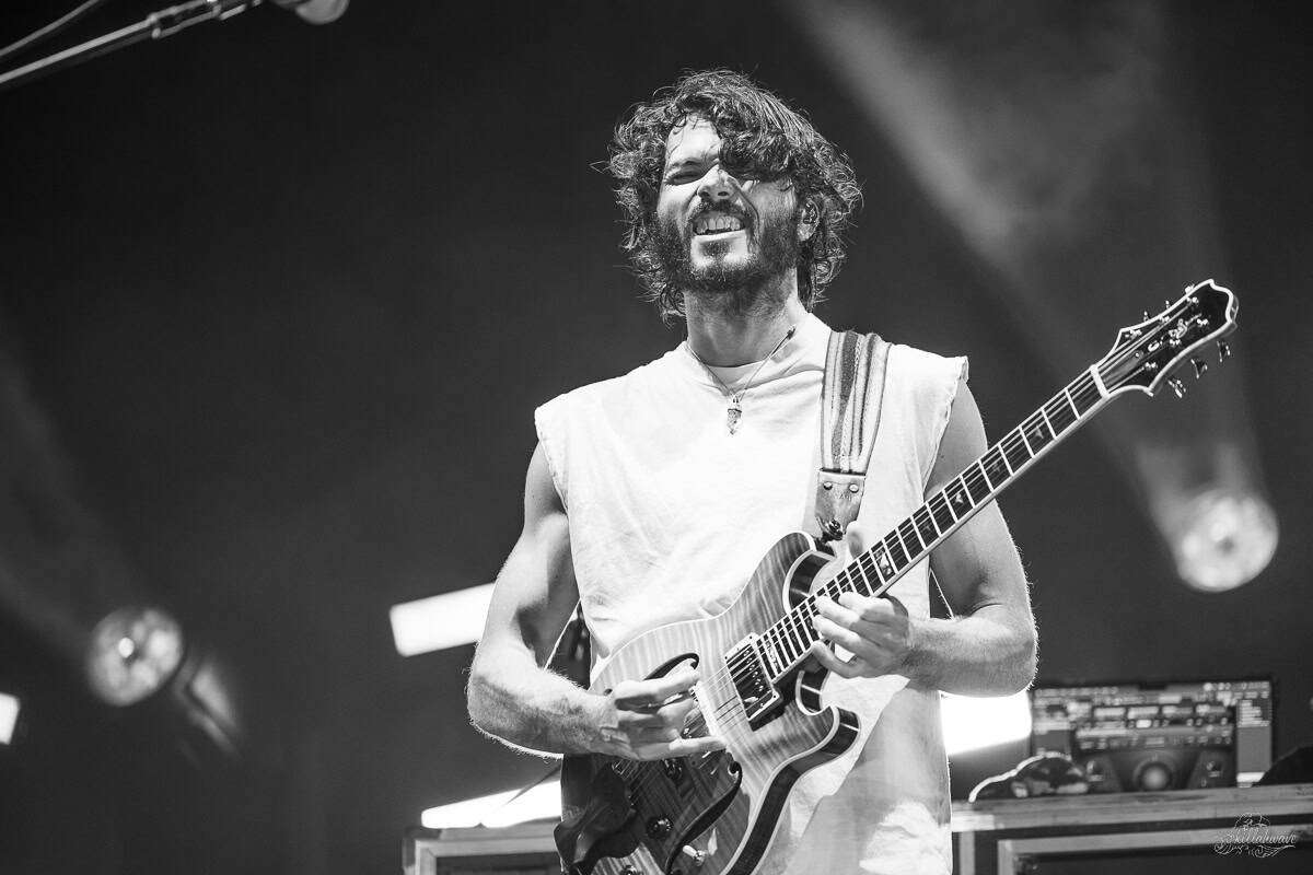 Guitarist Rick Mitarotonda | Goose