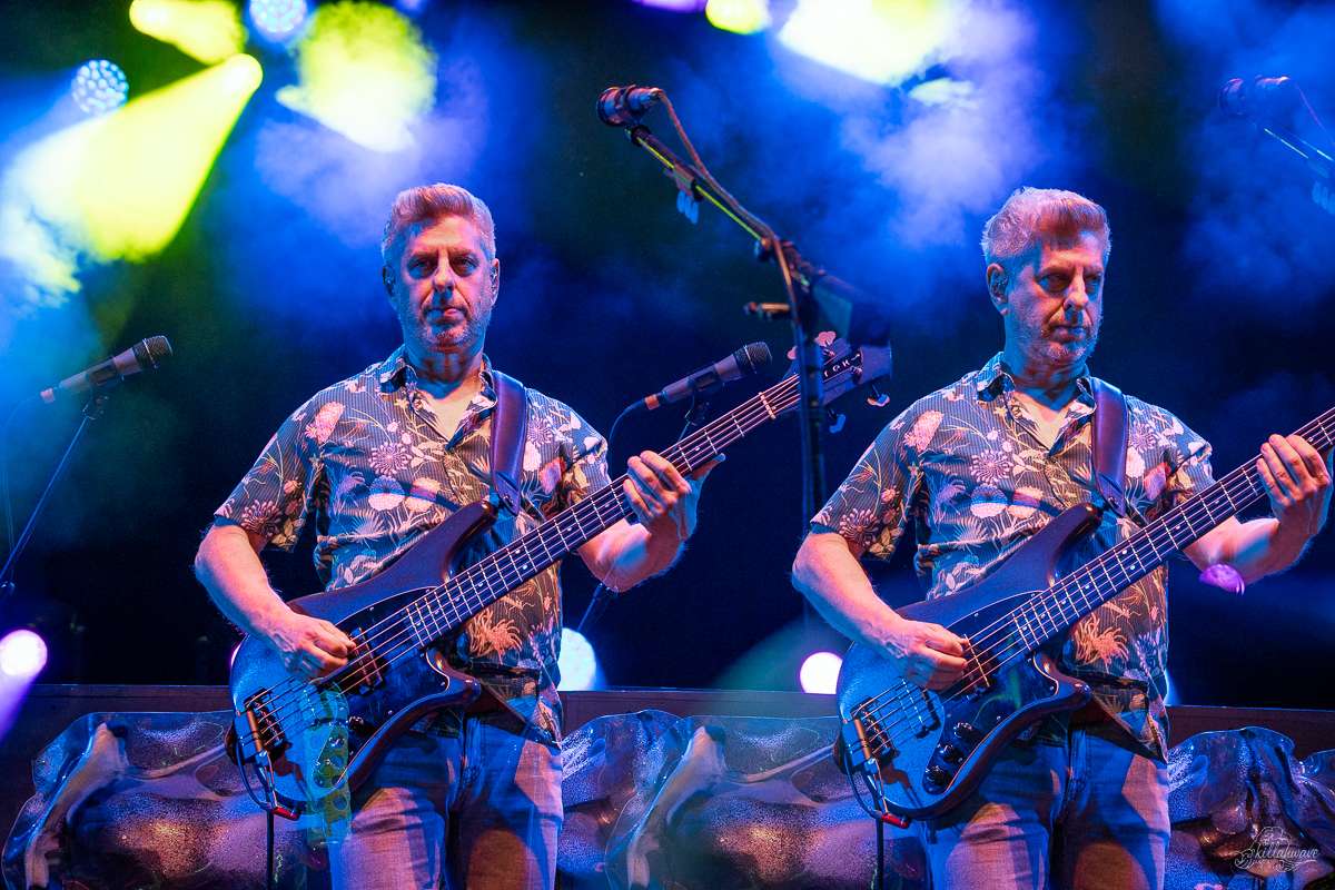 Bassist Mike Gordon | Phish