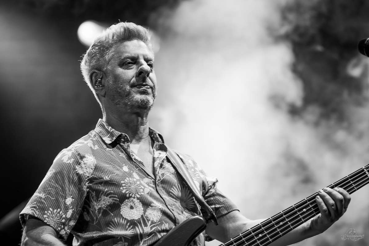 Bassist Mike Gordon | Phish