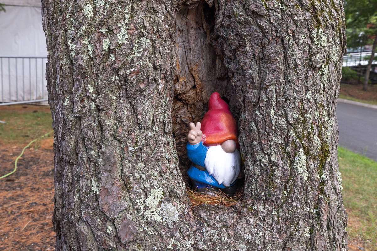 This gnome greets guests by The Charlie Gate | SPAC