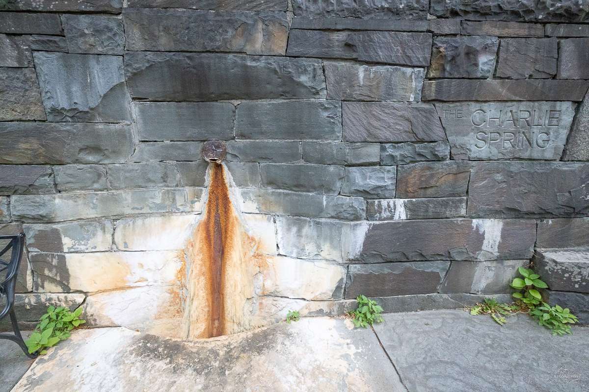 The Charlie Spring | SPAC