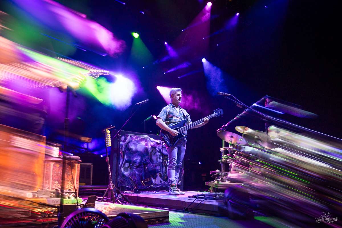 Bassist Mike Gordon | Phish