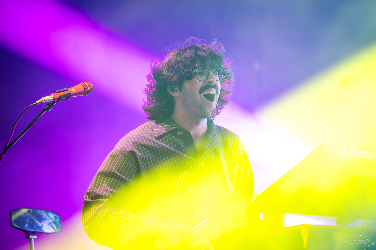 Multi-instrumentalist Peter Anspach | Goose