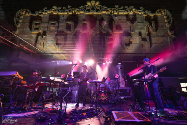 Dizgo | Brooklyn Monarch | By Jamie Huenefeld