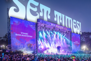 Suwannee Hulaween 2025: Spirit Lake Art Lineup