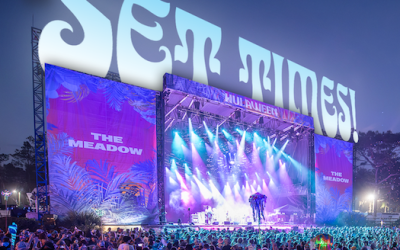 Suwannee Hulaween 2025: Spirit Lake Art Lineup