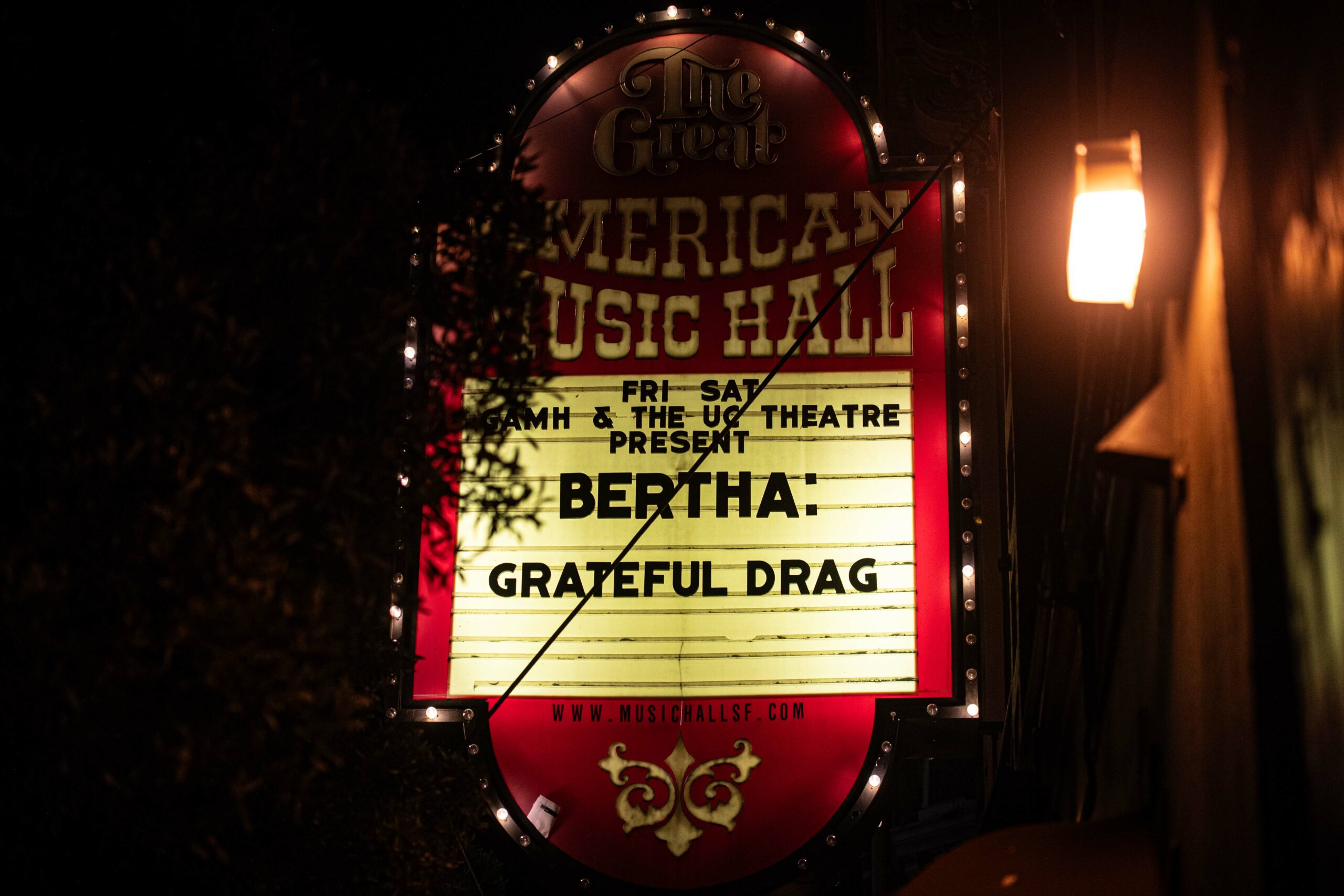 Gabriel David Barkin Photos - Grateful Web