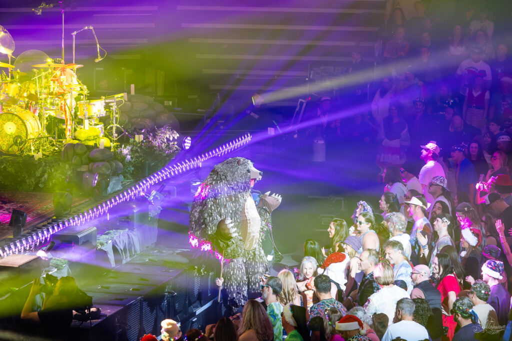 Goosemas | Amica Mutual Center