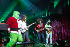 Dogs in a Pile | Ardmore Music Hall